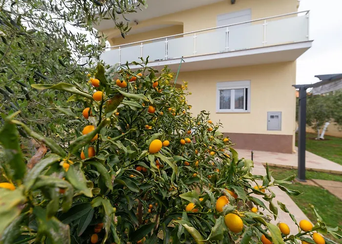 Apartmán K&f Borik Zadar