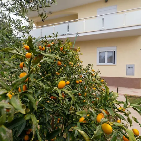 Apartment K&f Borik Zadar