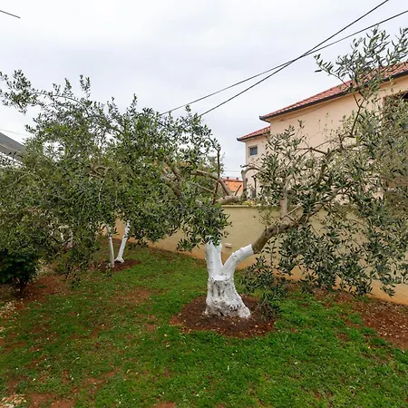 Apartamento K&f Borik